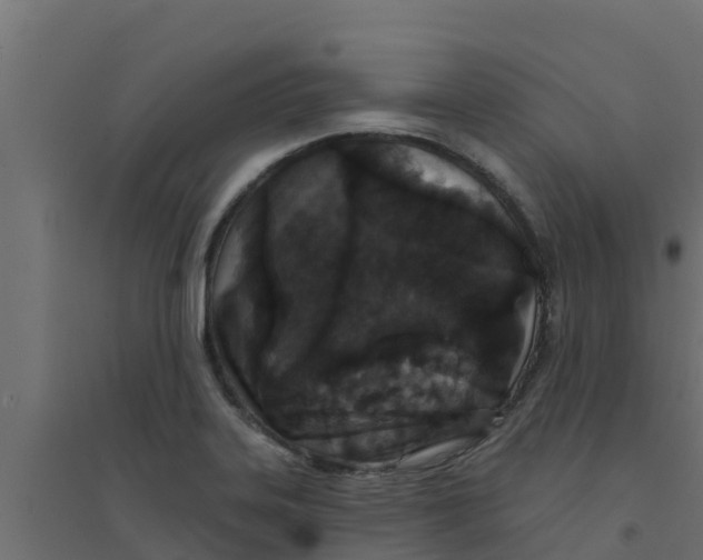 X0000094171323200711241521