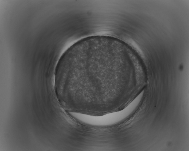 X0000094171324200711241521