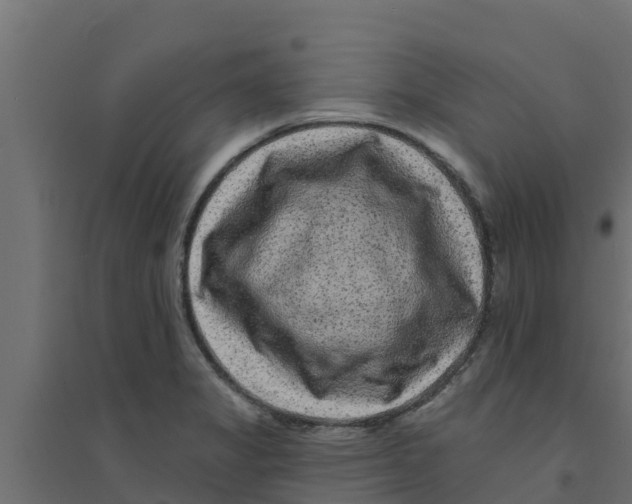 X0000094171325200711241521