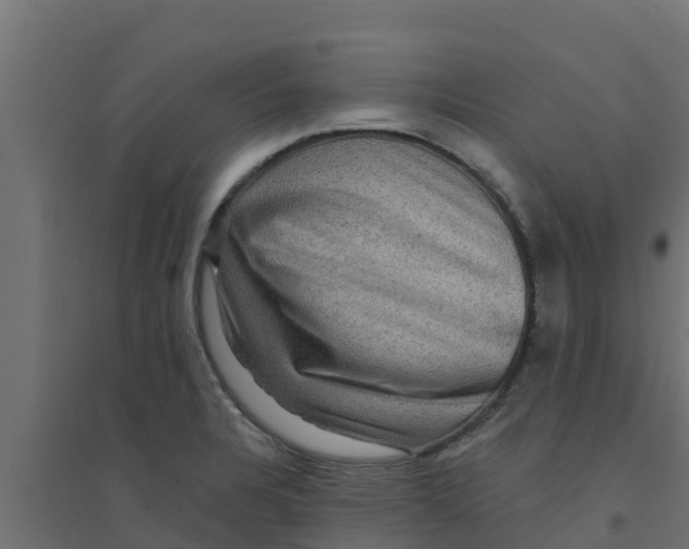 X0000094171328200711241522