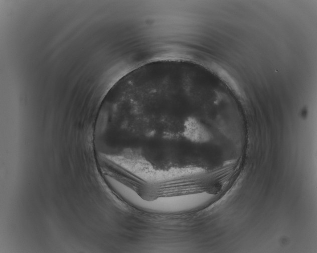 X0000094171329200711241522