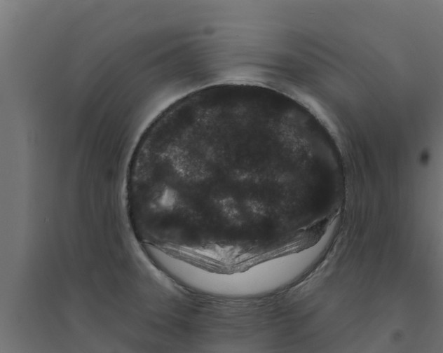 X0000094171331200711241522