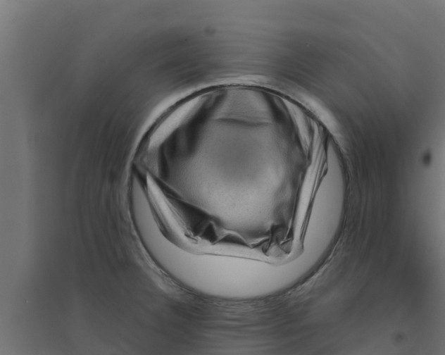 X0000094171332200711241522