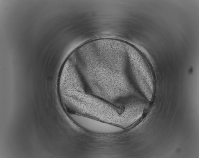 X0000094171333200711241522