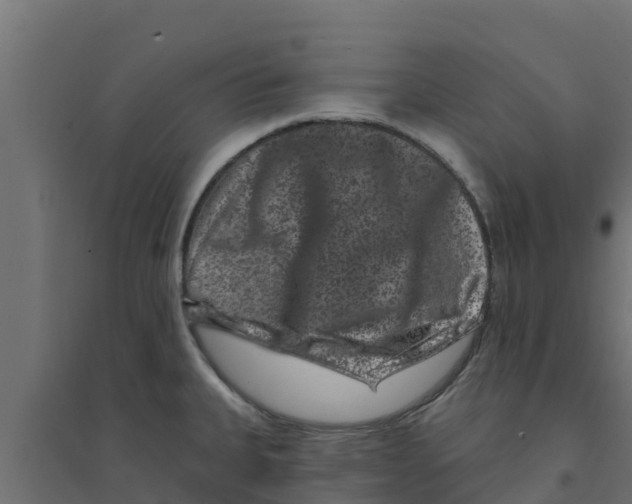 X0000094171335200711241522