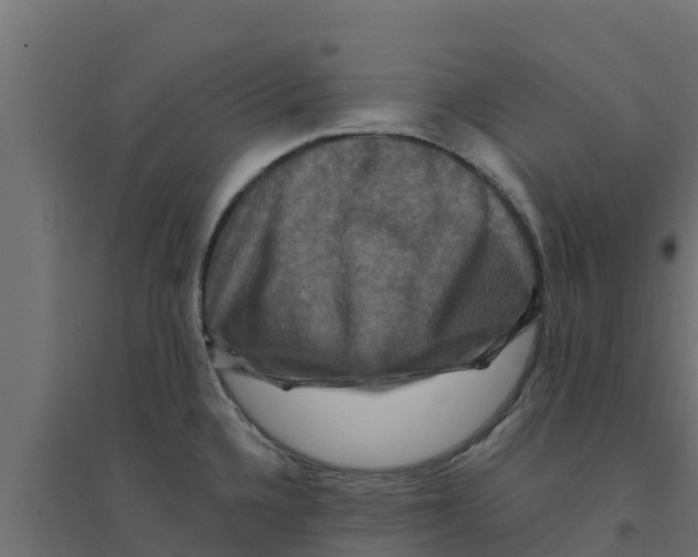 X0000094171336200711241522