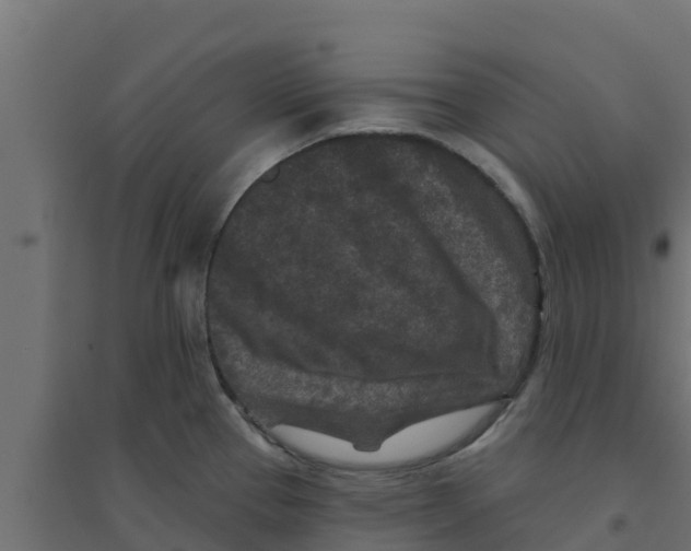 X0000094171337200711241522