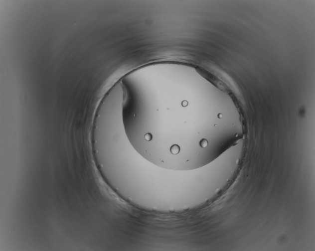 X0000094171338200711241522