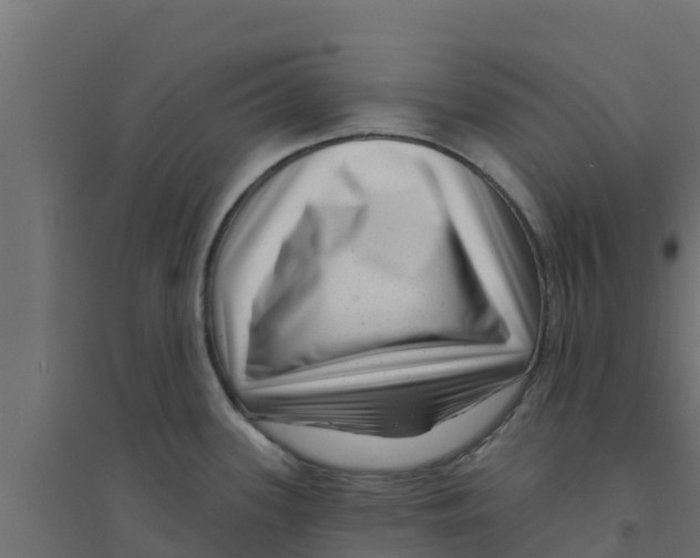 X0000094171339200711241522