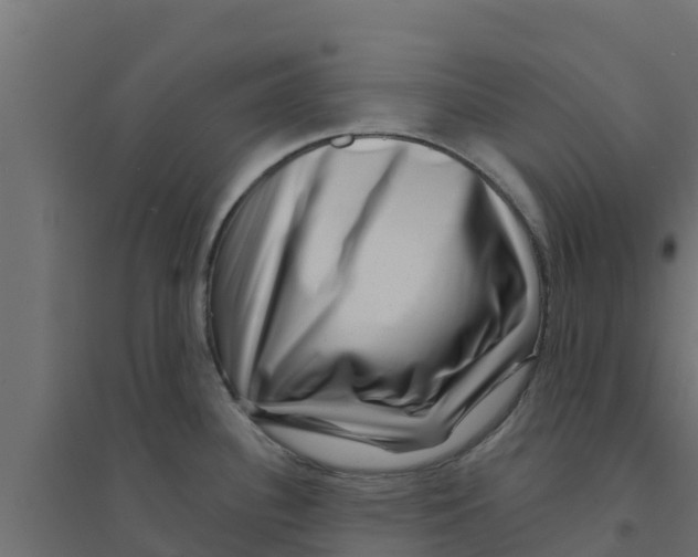 X0000094171340200711241522