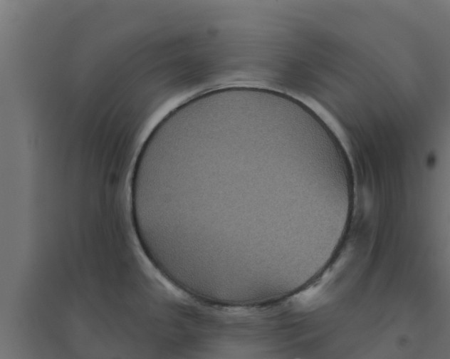 X0000094171341200711241522