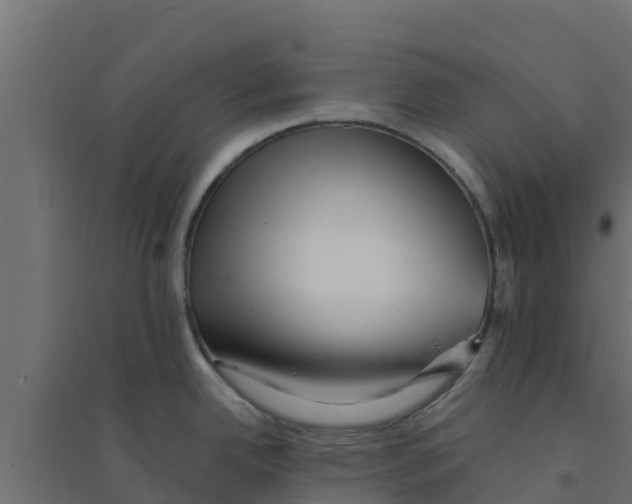 X0000094171342200711241522