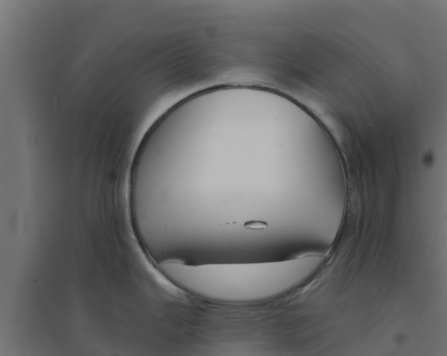 X0000094171343200711241522