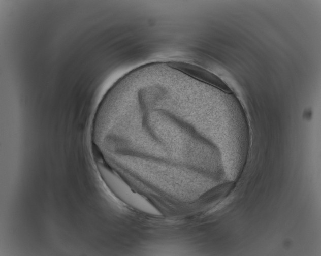 X0000094171344200711241522