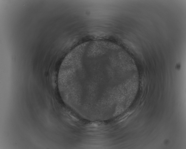 X0000094171346200711241521