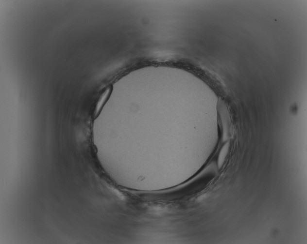 X0000094171349200711241521