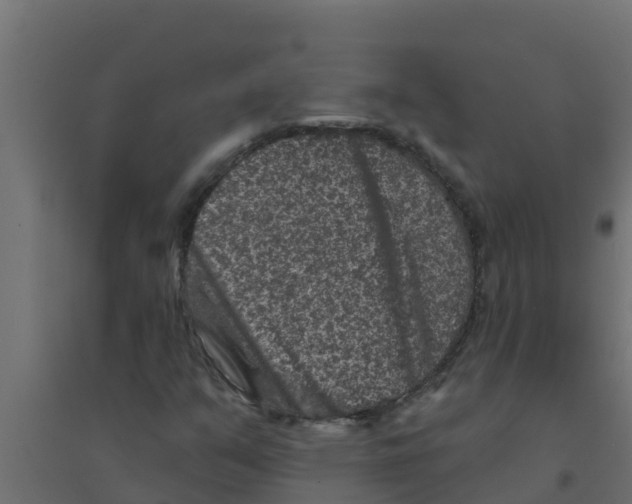 X0000094171351200711241521