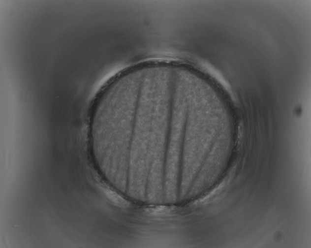 X0000094171352200711241521