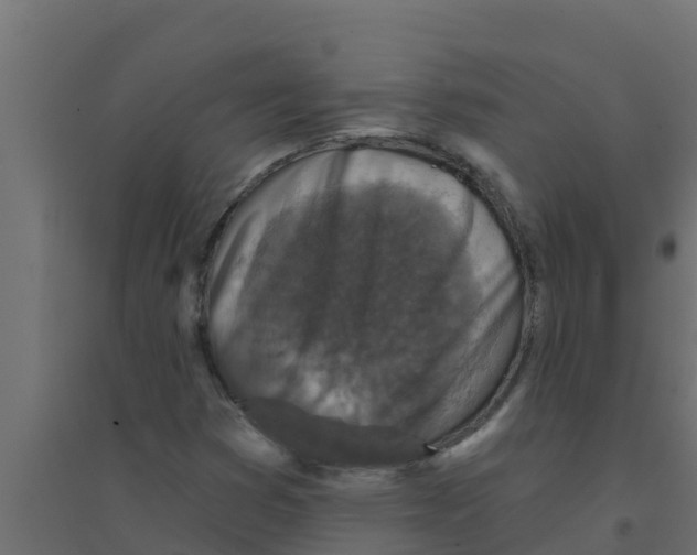 X0000094171353200711241521