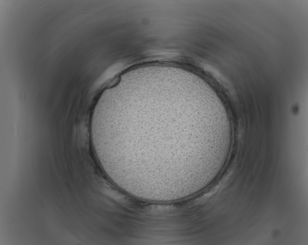 X0000094171354200711241521