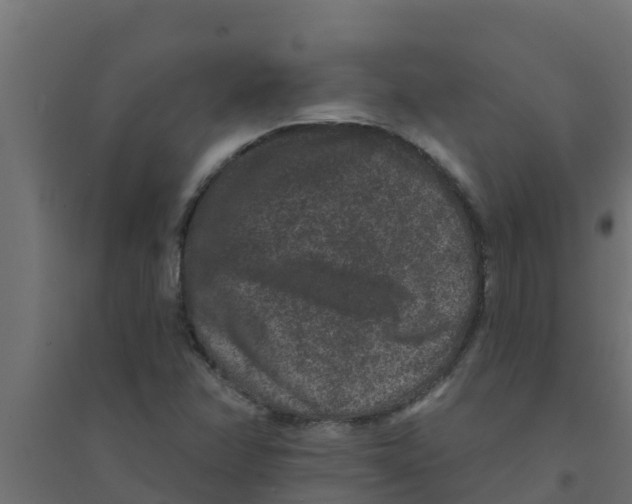 X0000094171358200711241521