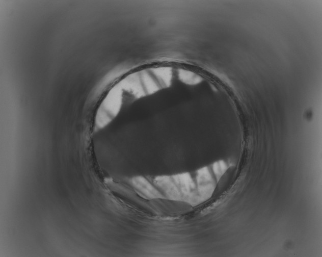 X0000094171359200711241521