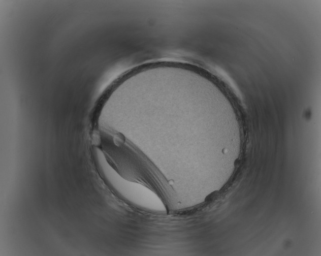 X0000094171360200711241521