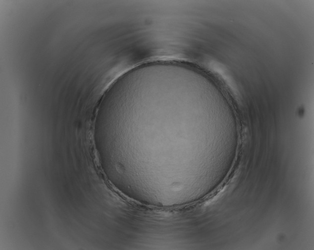 X0000094171361200711241521