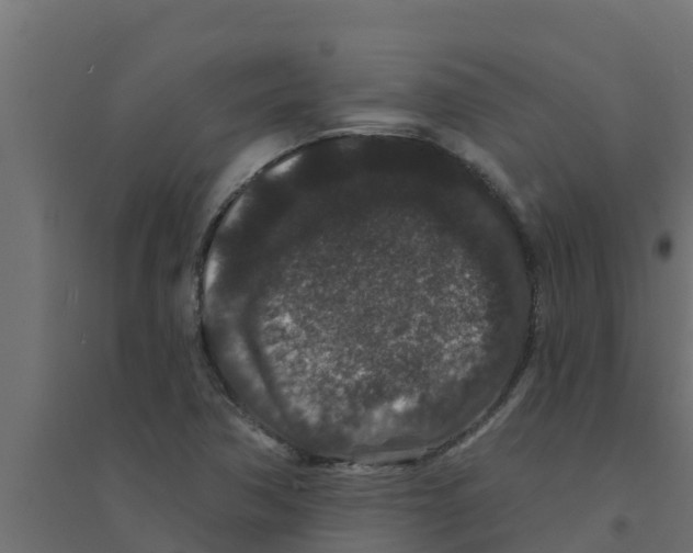 X0000094171362200711241521