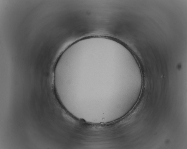 X0000094171366200711241521