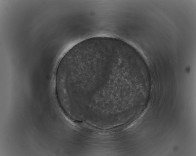 X0000094171367200711241521