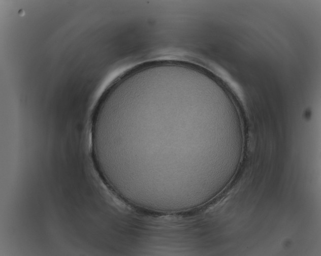 X0000094171368200711241521