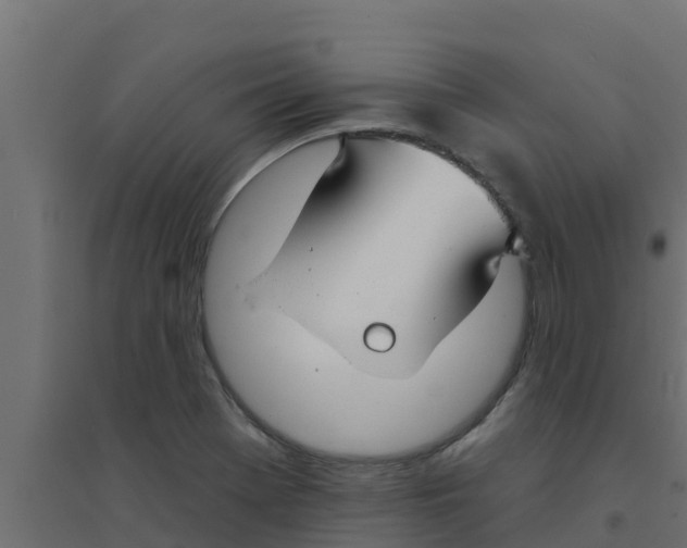 X0000094171369200711241521