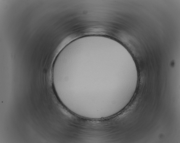 X0000094171370200711241521