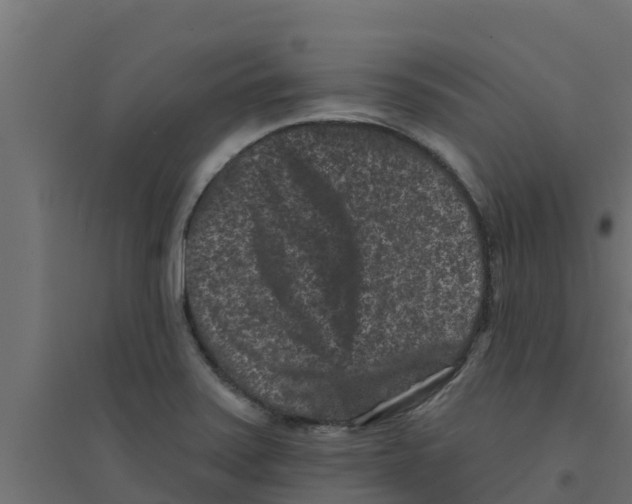 X0000094171371200711241521