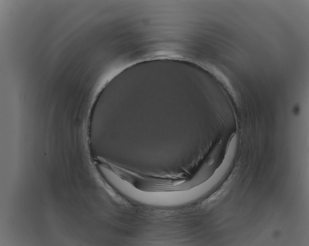 X0000094171373200711241521