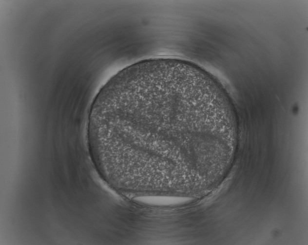 X0000094171374200711241521