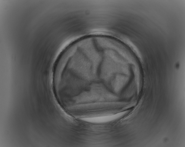 X0000094171376200711241521