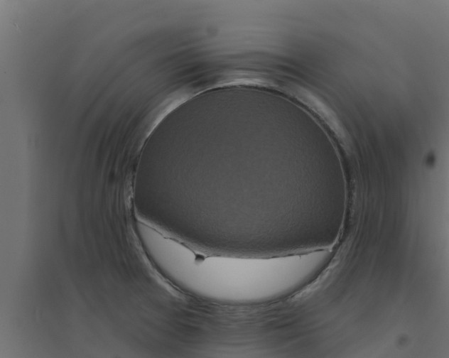 X0000094171377200711241521