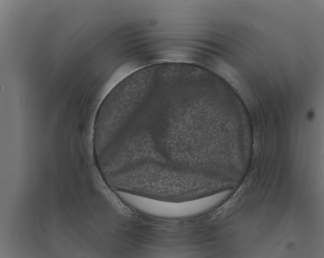 X0000094171378200711241521