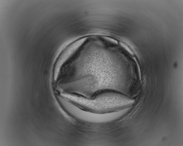 X0000094171379200711241521