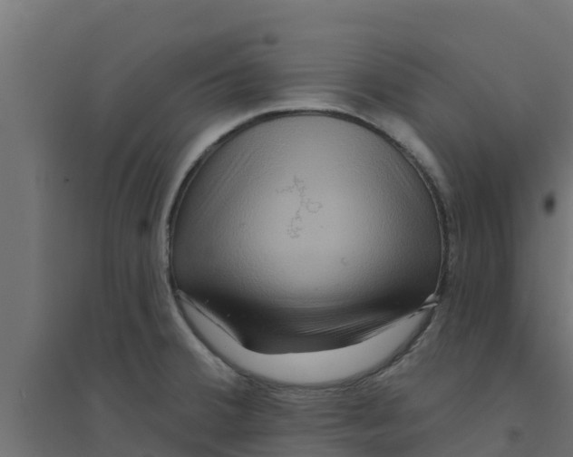 X0000094171380200711241521