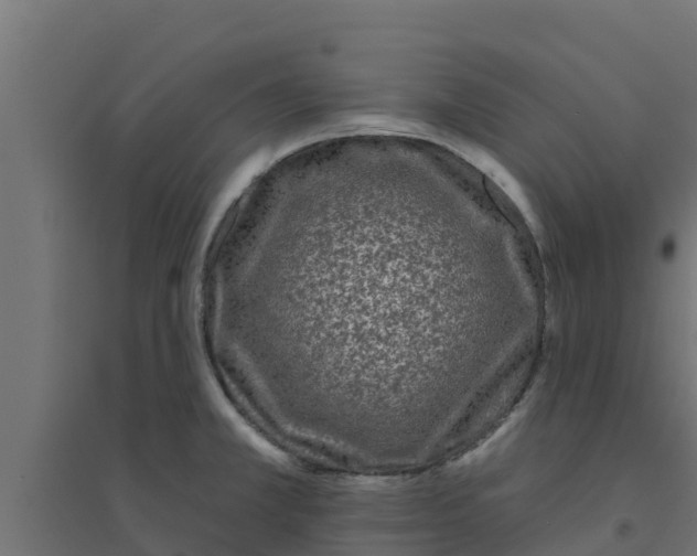 X0000094171381200711241521