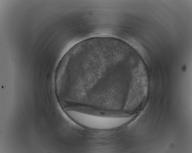 X0000094171382200711241521