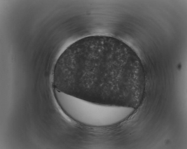 X0000094171383200711241521