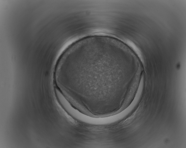 X0000094171384200711241521