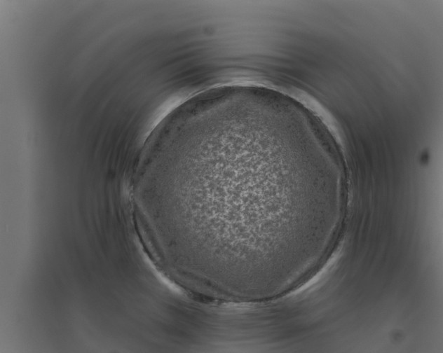 X0000094171385200711241521