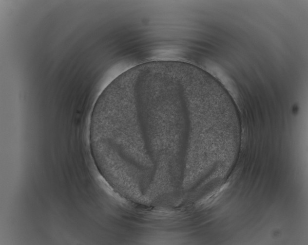 X0000094171386200711241520