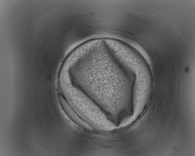 X0000094171388200711241520