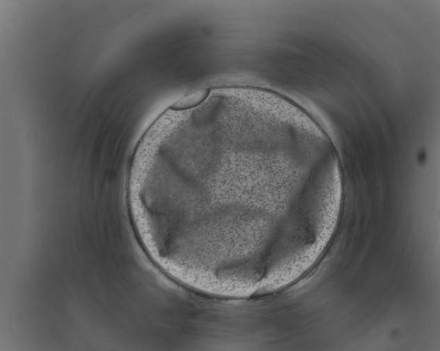 X0000094171390200711241520